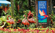 singapore with cruise tour package