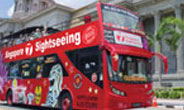 Singapore with cruise holiday package