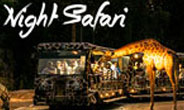 singapore holiday package