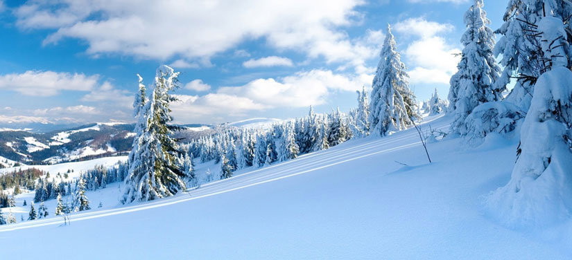 Manali Travel Packages
