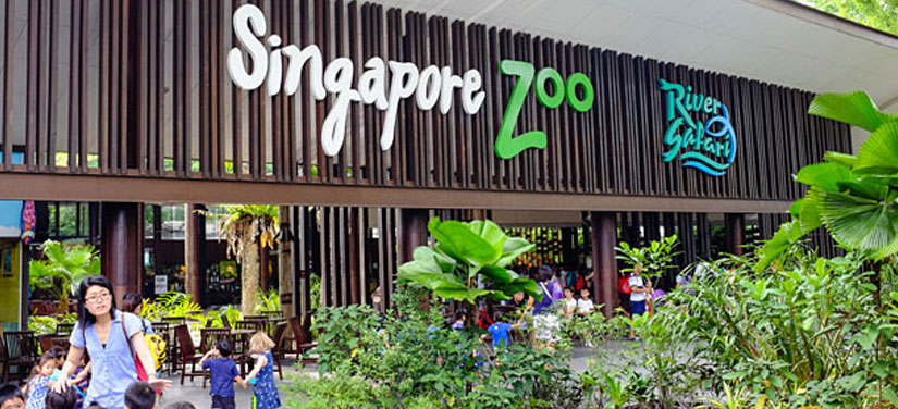 Singapore with Malaysia tour package